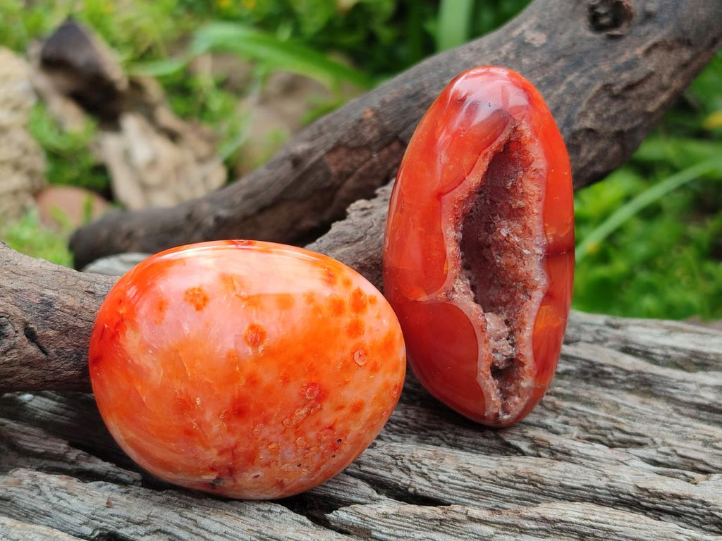 Polished and Natural Carnelian Agate Gemstone Galets x 12 From Madagascar