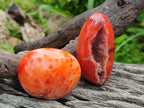 Polished and Natural Carnelian Agate Gemstone Galets x 12 From Madagascar