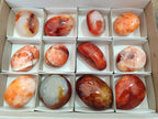 Polished and Natural Carnelian Agate Gemstone Galets x 12 From Madagascar