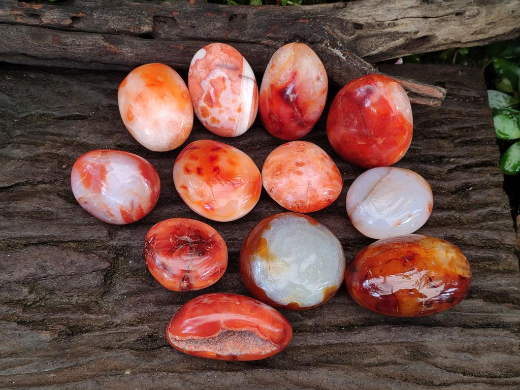 Polished and Natural Carnelian Agate Gemstone Galets x 12 From Madagascar