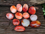 Polished and Natural Carnelian Agate Gemstone Galets x 12 From Madagascar