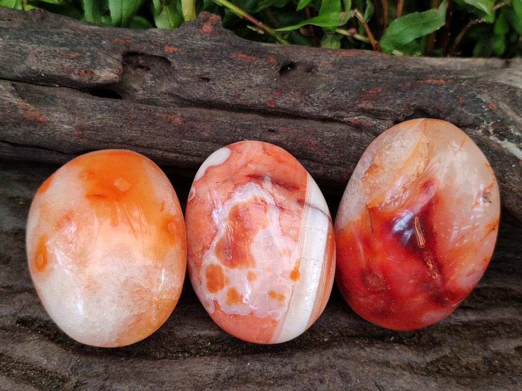 Polished and Natural Carnelian Agate Gemstone Galets x 12 From Madagascar