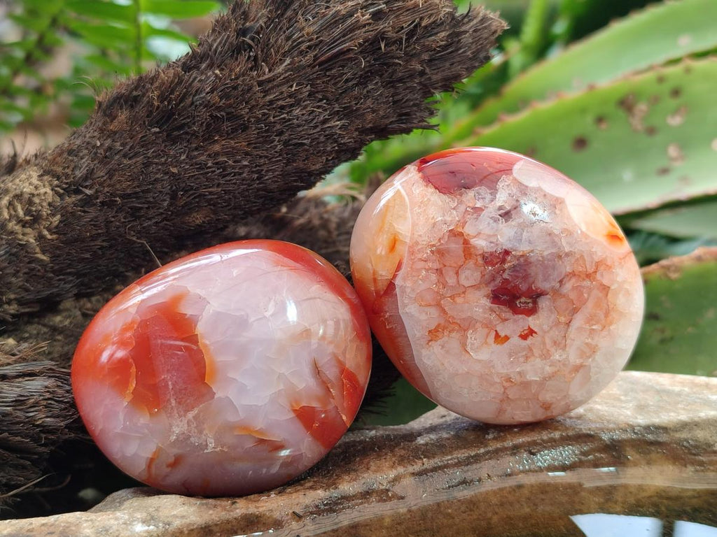 Polished and Natural Carnelian Agate Gemstone Galets x 12 From Madagascar