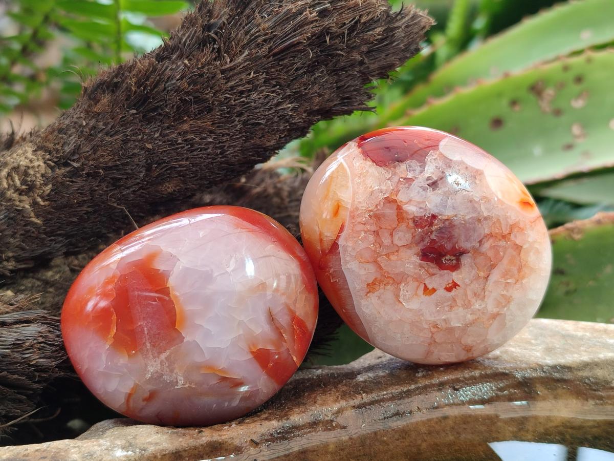 Polished and Natural Carnelian Agate Gemstone Galets x 12 From Madagascar