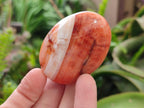 Polished and Natural Carnelian Agate Gemstone Galets x 12 From Madagascar