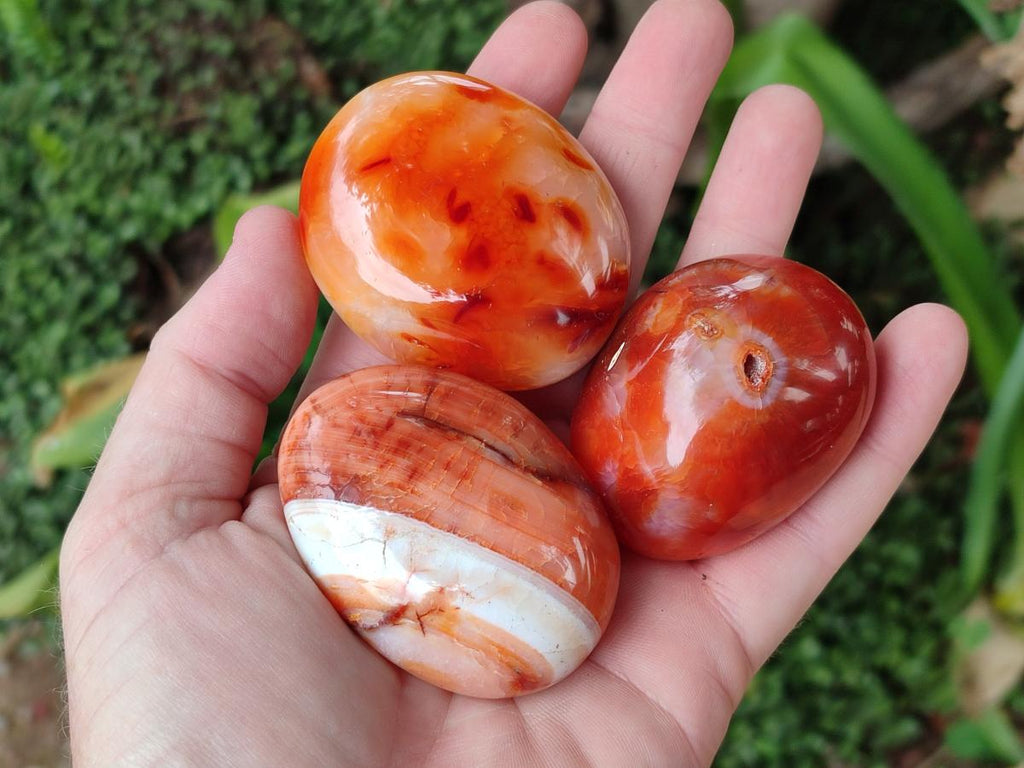 Polished and Natural Carnelian Agate Gemstone Galets x 12 From Madagascar