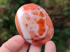 Polished and Natural Carnelian Agate Gemstone Galets x 12 From Madagascar