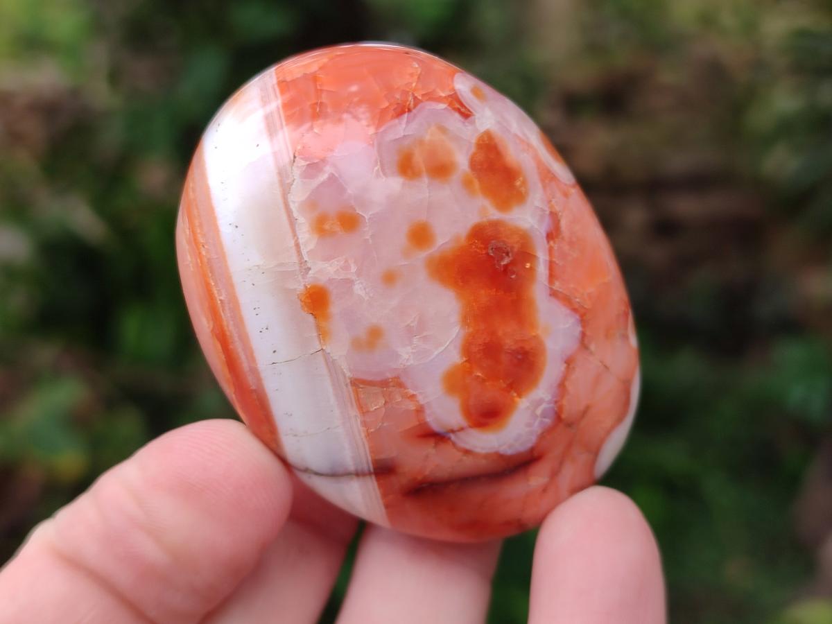 Polished and Natural Carnelian Agate Gemstone Galets x 12 From Madagascar