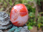 Polished and Natural Carnelian Agate Gemstone Galets x 12 From Madagascar
