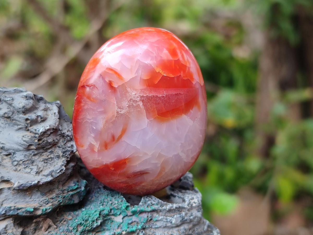 Polished and Natural Carnelian Agate Gemstone Galets x 12 From Madagascar