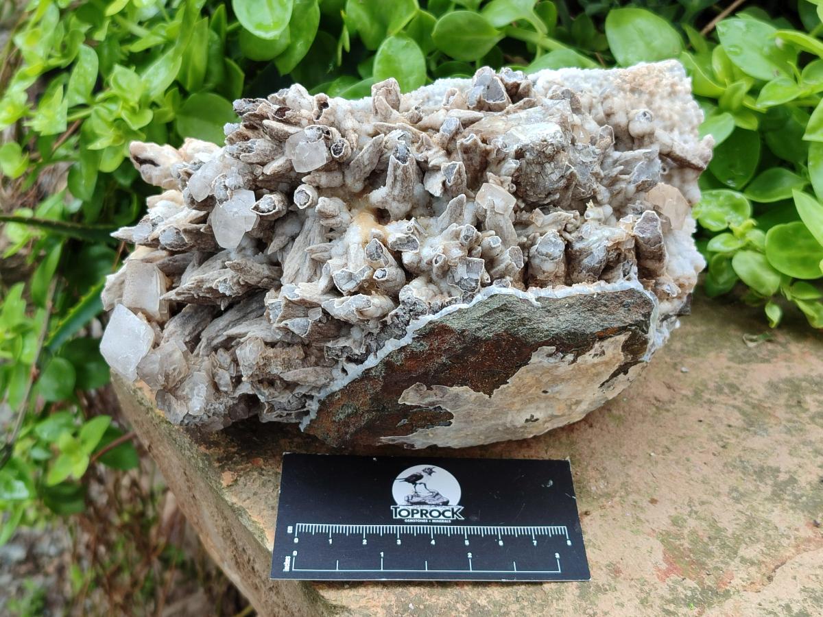 Natural Large Rhombohedral and Spearhead Calcite Specimen with Phosphorus Aragonite x 1 From Albert's Mountain, Lesotho - Toprock Gemstones and Minerals 