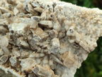 Natural Large Rhombohedral and Spearhead Calcite Specimen with Phosphorus Aragonite x 1 From Albert's Mountain, Lesotho - Toprock Gemstones and Minerals 