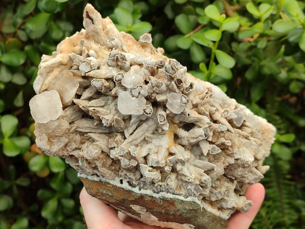 Natural Large Rhombohedral and Spearhead Calcite Specimen with Phosphorus Aragonite x 1 From Albert's Mountain, Lesotho - Toprock Gemstones and Minerals 