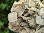 Natural Large Rhombohedral and Spearhead Calcite Specimen with Phosphorus Aragonite x 1 From Albert's Mountain, Lesotho - Toprock Gemstones and Minerals 