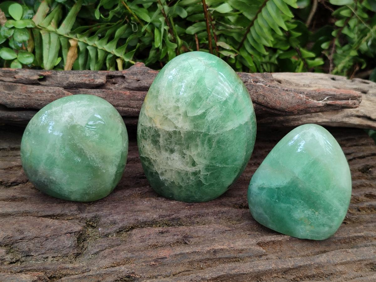 Polished Green Fluorite Standing Display Pieces x 3 From Madagascar - Toprock Gemstones and Minerals 