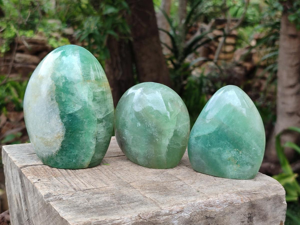 Polished Green Fluorite Standing Display Pieces x 3 From Madagascar - Toprock Gemstones and Minerals 