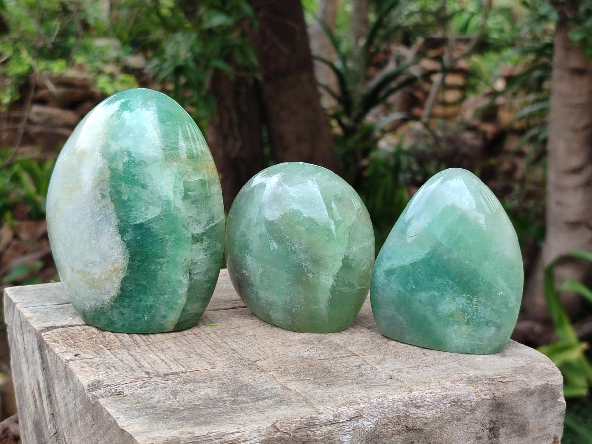 Polished Green Fluorite Standing Display Pieces x 3 From Madagascar - Toprock Gemstones and Minerals 