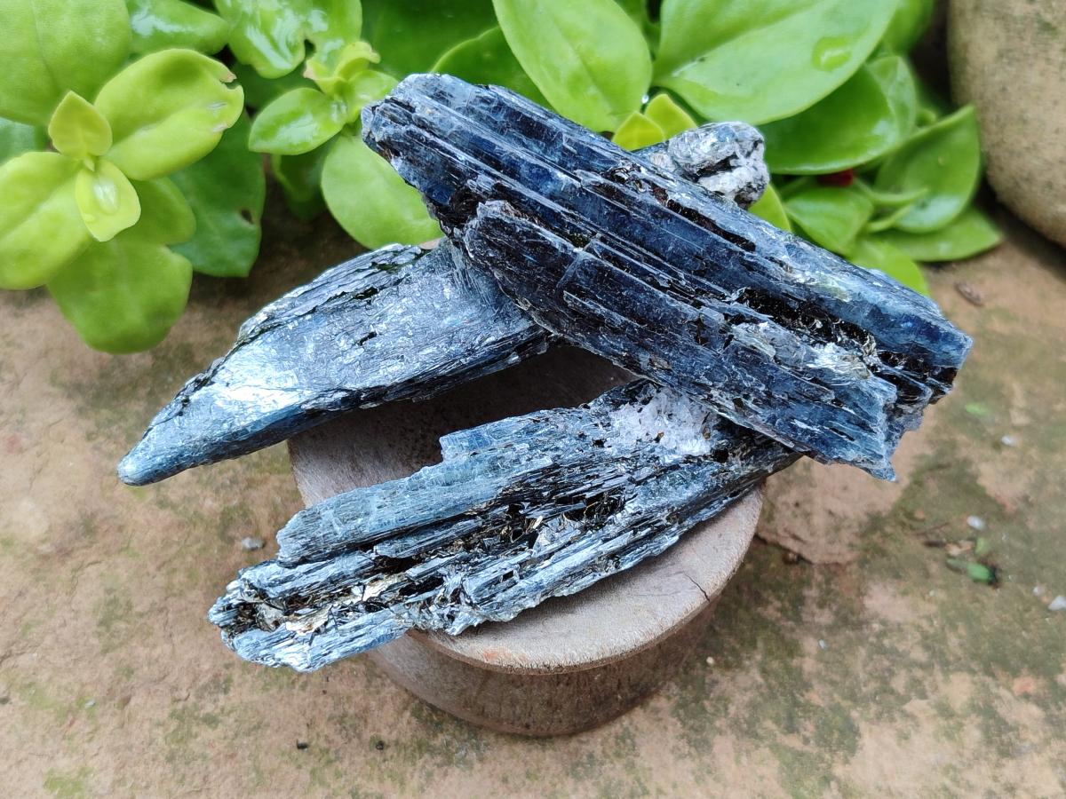Natural Kyanite Blue Crystals x 1.4 Kg Lot From Karoi, Zimbabwe - Toprock Gemstones and Minerals 