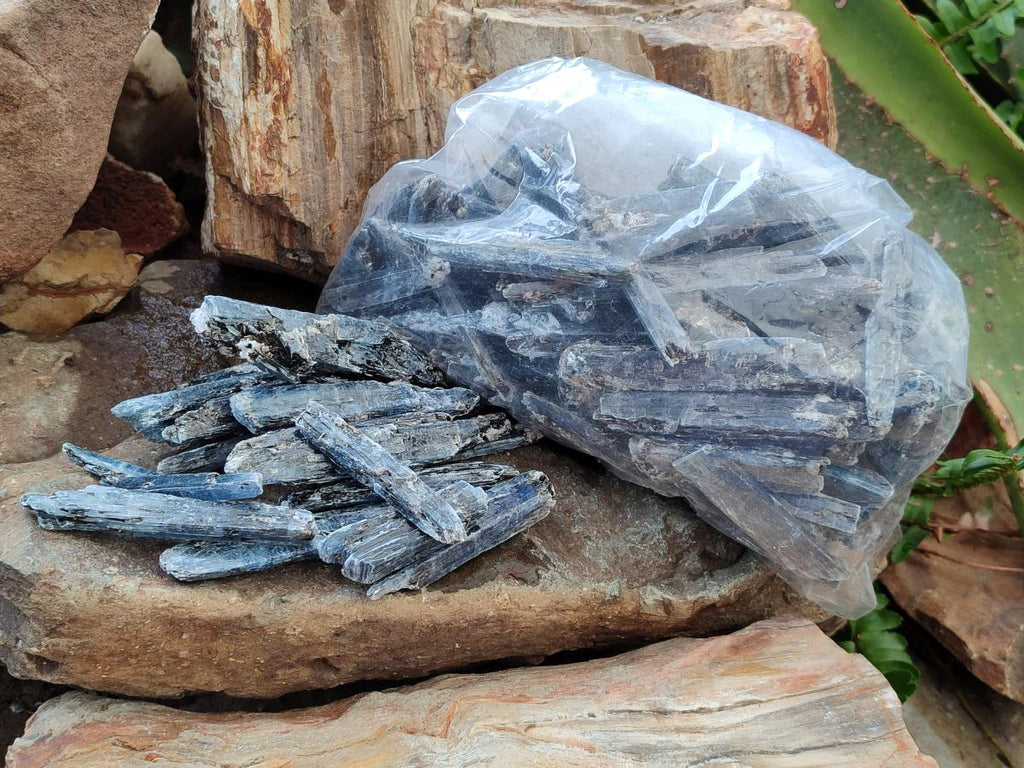 Natural Kyanite Blue Crystals x 1.4 Kg Lot From Karoi, Zimbabwe - Toprock Gemstones and Minerals 