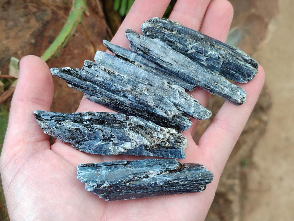 Natural Kyanite Blue Crystals x 1.4 Kg Lot From Karoi, Zimbabwe - Toprock Gemstones and Minerals 
