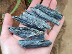 Natural Kyanite Blue Crystals x 1.4 Kg Lot From Karoi, Zimbabwe - Toprock Gemstones and Minerals 