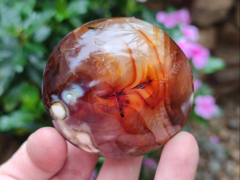 Polished Carnelian Agate Gemstone Galets x 12 From Madagascar - Toprock Gemstones and Minerals 