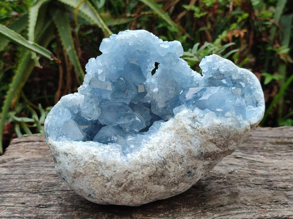Natural Large Blue Celestite Geode Specimen x 1 From Sakoany, Madagascar - Toprock Gemstones and Minerals 