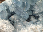 Natural Large Blue Celestite Geode Specimen x 1 From Sakoany, Madagascar - Toprock Gemstones and Minerals 