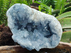 Natural Large Blue Celestite Geode Specimen x 1 From Sakoany, Madagascar - Toprock Gemstones and Minerals 
