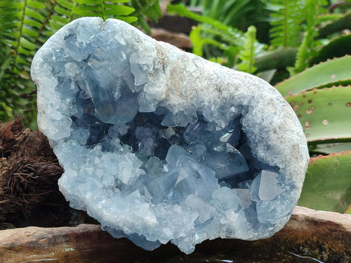 Natural Large Blue Celestite Geode Specimen x 1 From Sakoany, Madagascar - Toprock Gemstones and Minerals 