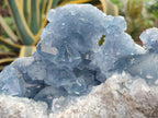 Natural Large Blue Celestite Geode Specimen x 1 From Sakoany, Madagascar - Toprock Gemstones and Minerals 