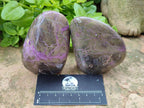 Polished Stichtite Standing Display Pieces x 4 From Barberton, South Africa - Toprock Gemstones and Minerals 