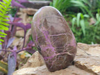 Polished Stichtite Standing Display Pieces x 4 From Barberton, South Africa - Toprock Gemstones and Minerals 