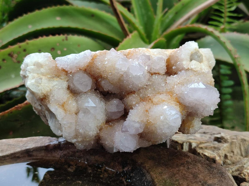 Natural Lilac Spirit Quartz Clusters x 2 From Boekenhouthoek, South Africa - Toprock Gemstones and Minerals 