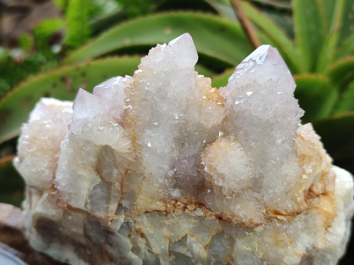 Natural Lilac Spirit Quartz Clusters x 2 From Boekenhouthoek, South Africa - Toprock Gemstones and Minerals 