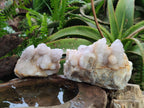 Natural Lilac Spirit Quartz Clusters x 2 From Boekenhouthoek, South Africa - Toprock Gemstones and Minerals 