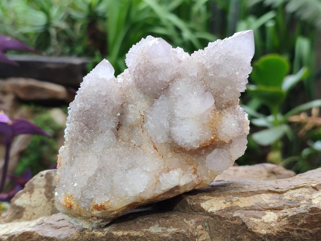 Natural Lilac Spirit Quartz Clusters x 2 From Boekenhouthoek, South Africa - Toprock Gemstones and Minerals 