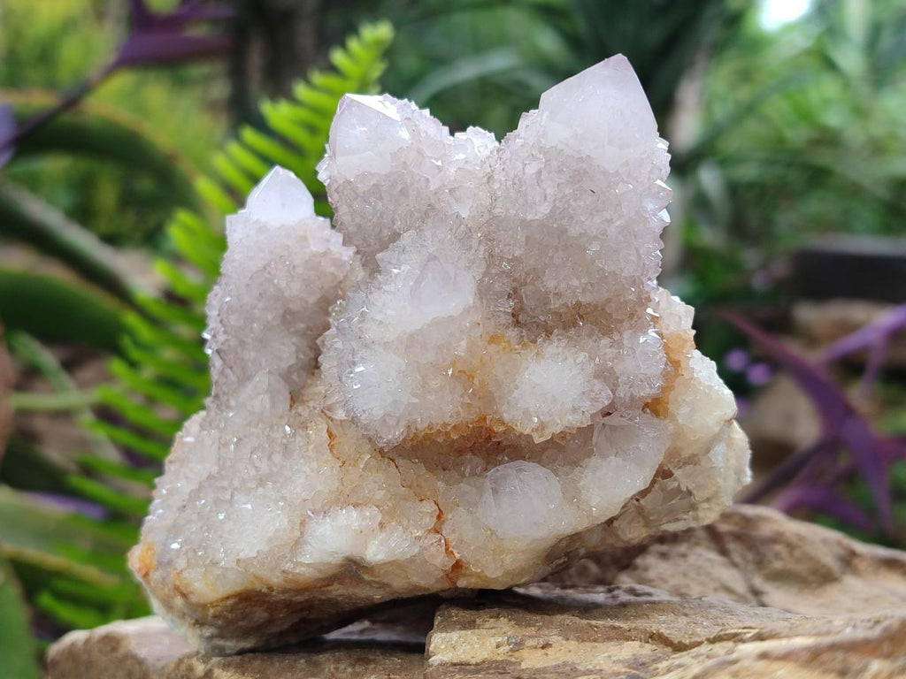 Natural Lilac Spirit Quartz Clusters x 2 From Boekenhouthoek, South Africa - Toprock Gemstones and Minerals 