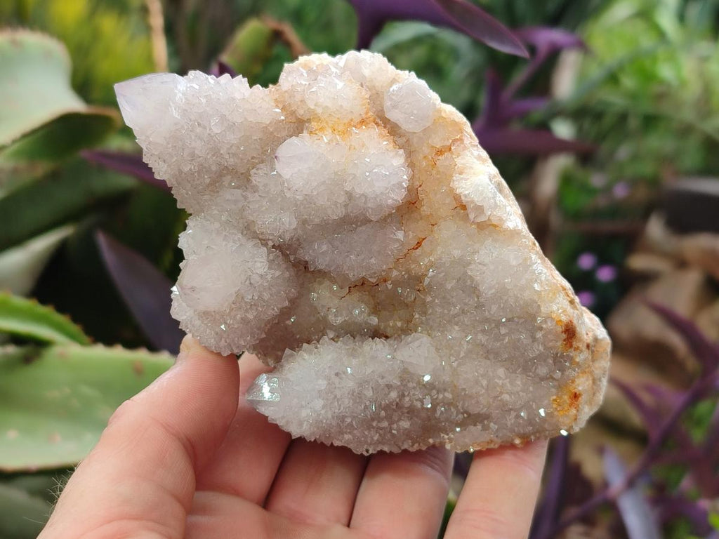 Natural Lilac Spirit Quartz Clusters x 2 From Boekenhouthoek, South Africa - Toprock Gemstones and Minerals 