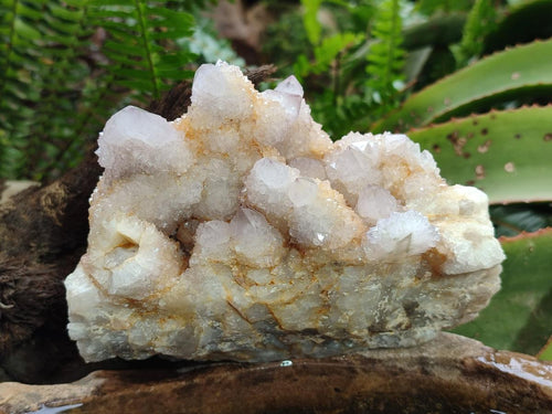 Natural Lilac Spirit Quartz Clusters x 2 From Boekenhouthoek, South Africa - Toprock Gemstones and Minerals 