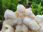 Natural Lilac Spirit Quartz Clusters x 2 From Boekenhouthoek, South Africa - Toprock Gemstones and Minerals 