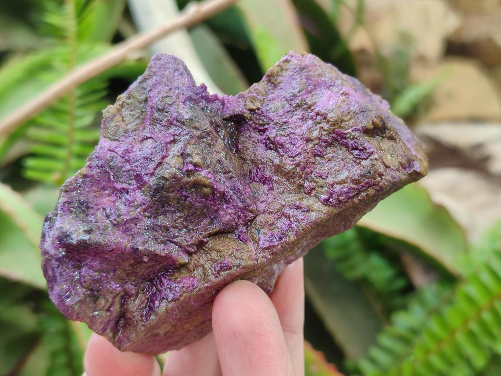 Natural Cobbed Stichtite Specimens x 12 From Barberton, South Africa - Toprock Gemstones and Minerals 