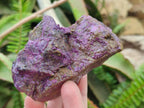 Natural Cobbed Stichtite Specimens x 12 From Barberton, South Africa - Toprock Gemstones and Minerals 