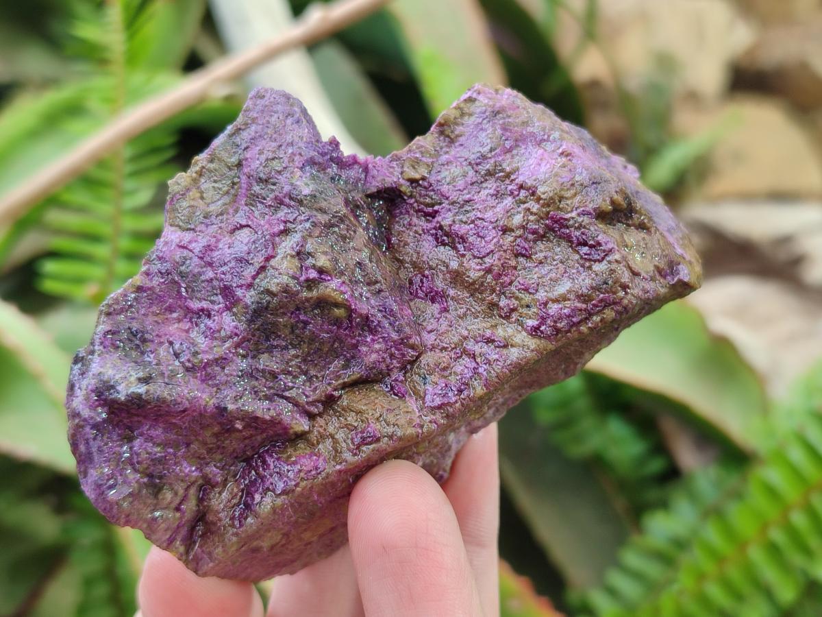 Natural Cobbed Stichtite Specimens x 12 From Barberton, South Africa - Toprock Gemstones and Minerals 
