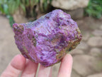 Natural Cobbed Stichtite Specimens x 12 From Barberton, South Africa - Toprock Gemstones and Minerals 
