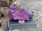 Natural Cobbed Stichtite Specimens x 12 From Barberton, South Africa - Toprock Gemstones and Minerals 