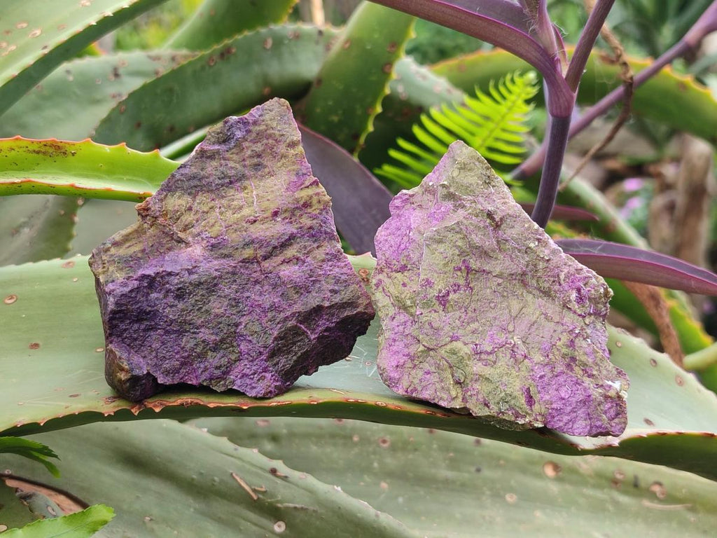 Natural Cobbed Stichtite Specimens x 12 From Barberton, South Africa - Toprock Gemstones and Minerals 