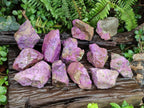 Natural Cobbed Stichtite Specimens x 12 From Barberton, South Africa - Toprock Gemstones and Minerals 