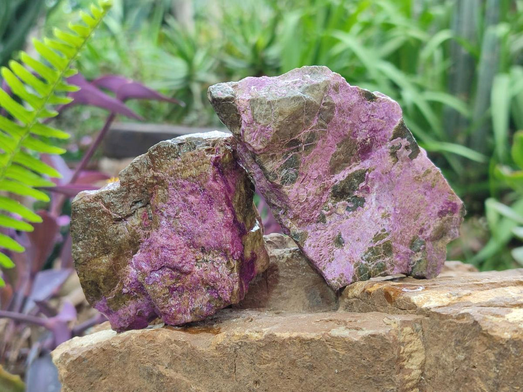 Natural Cobbed Stichtite Specimens x 12 From Barberton, South Africa - Toprock Gemstones and Minerals 
