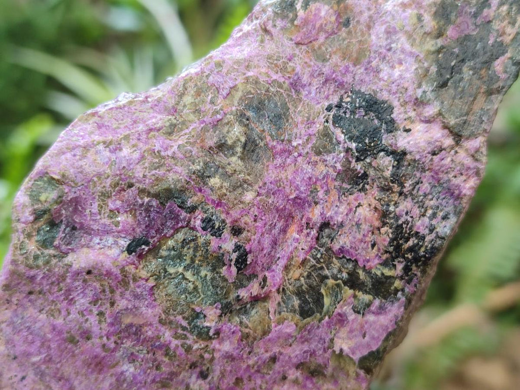 Natural Cobbed Stichtite Specimens x 12 From Barberton, South Africa - Toprock Gemstones and Minerals 